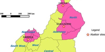 Kamerun ukazuje regiony mapě